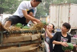 大城县吃瓜最新事件爆料,揭秘背后惊人真相